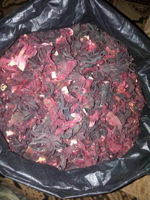 Premium Hibiscus Flower